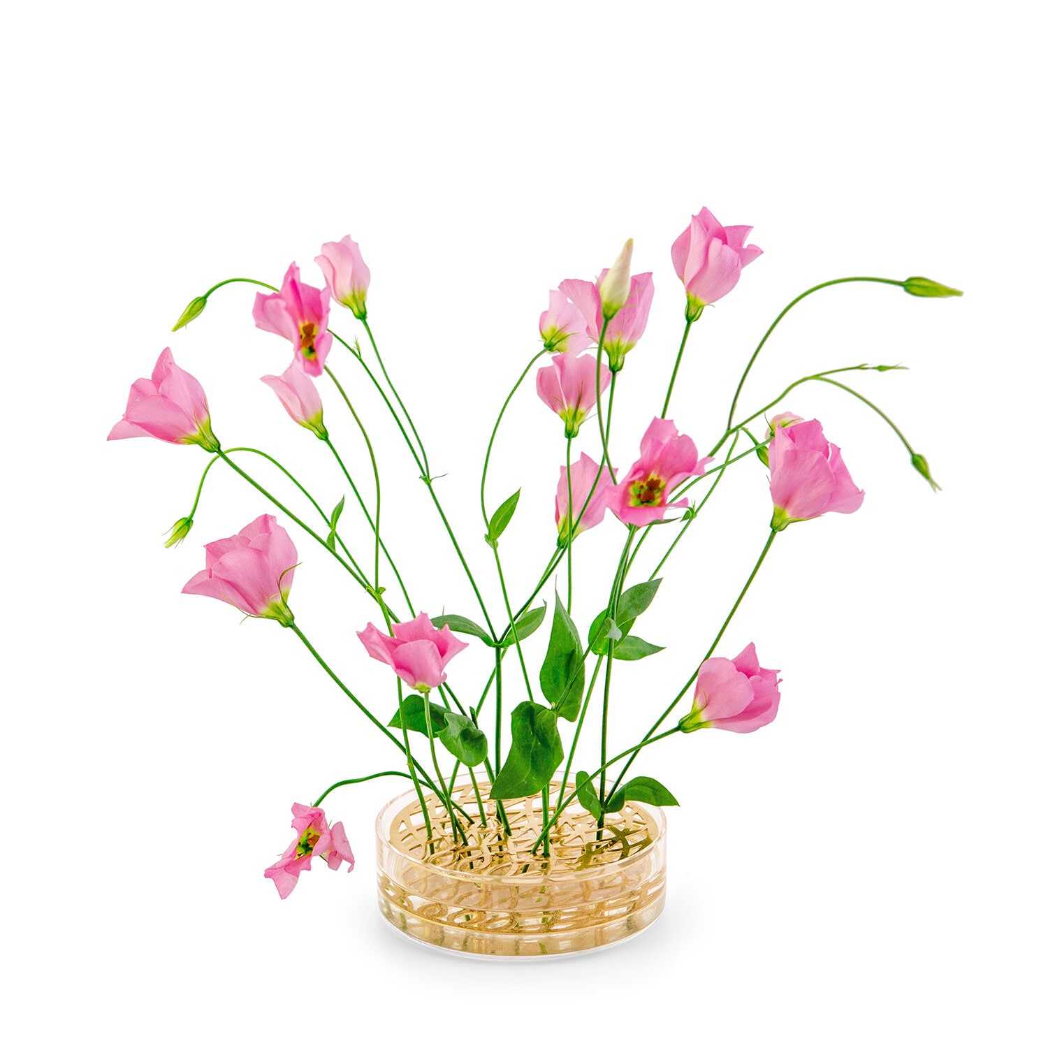 https://www.klong.com/pub_docs/files/Ang-Pond-Brass-Flowers-Square.jpg
