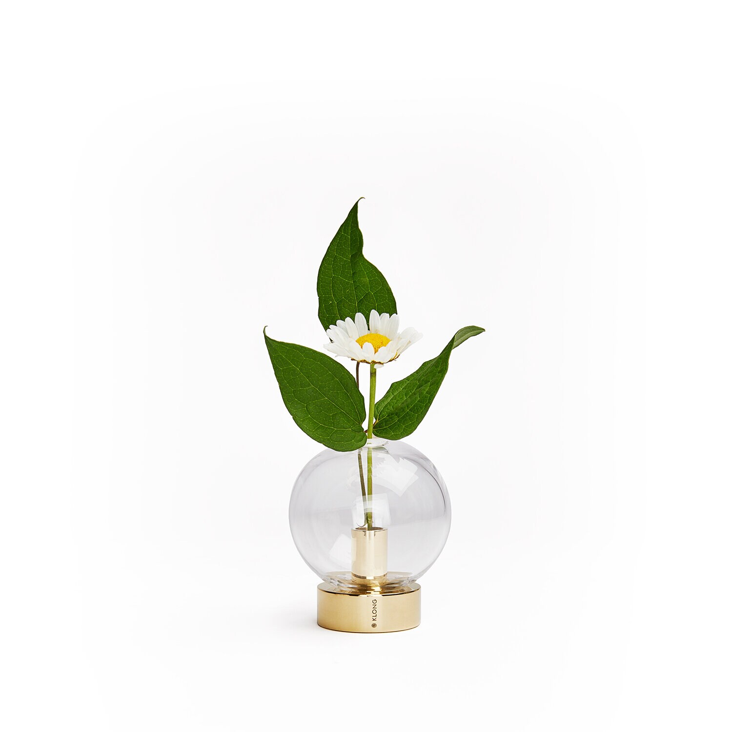 https://www.klong.com/pub_docs/files/Orbis-Details-Square-1.jpg