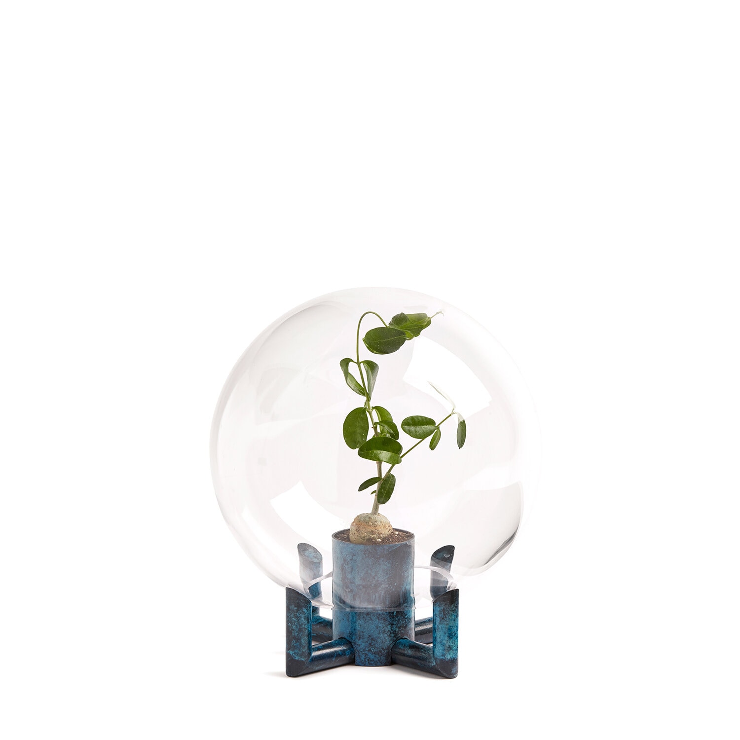 https://www.klong.com/pub_docs/files/VälkommenCirkus/Orb-Small-Plant-Square.jpg