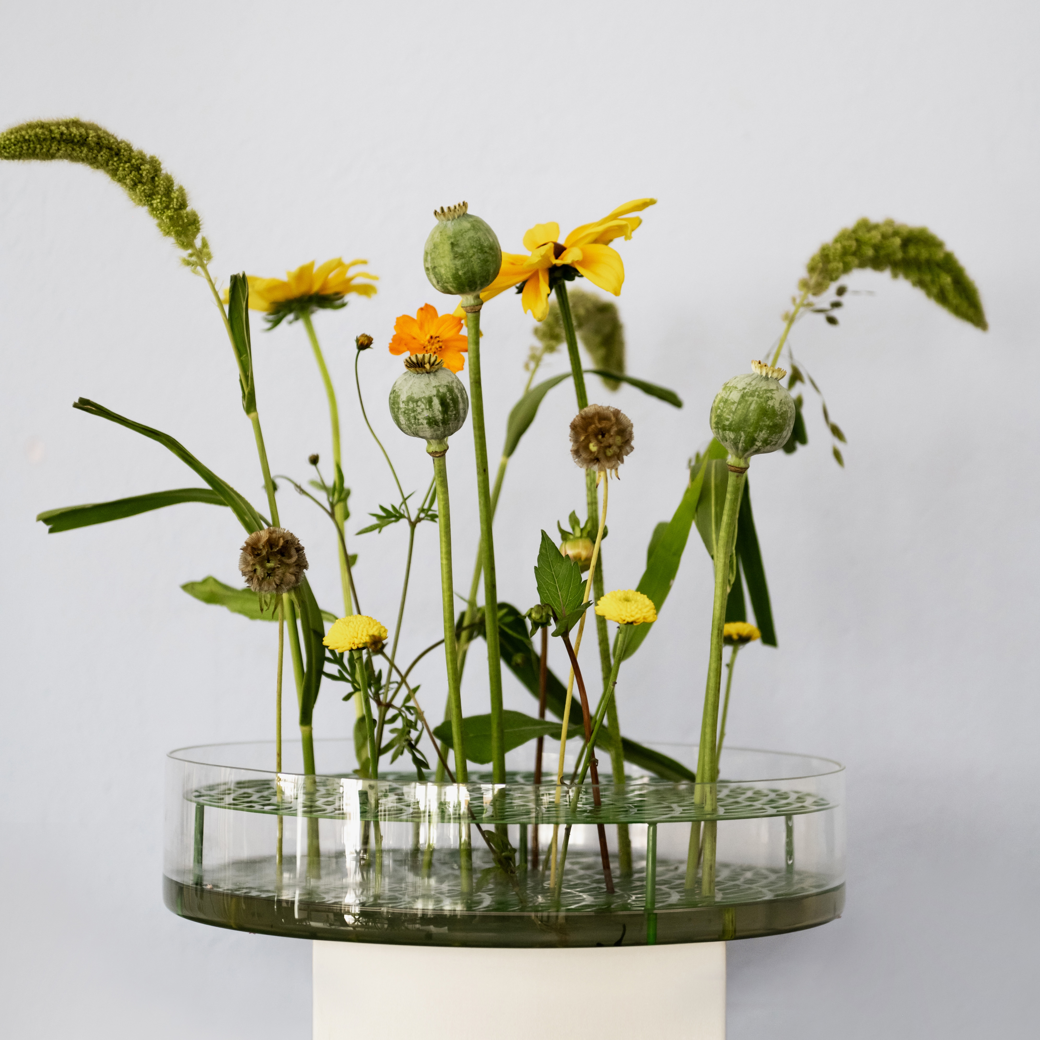 Äng Mega Elements Edition Green