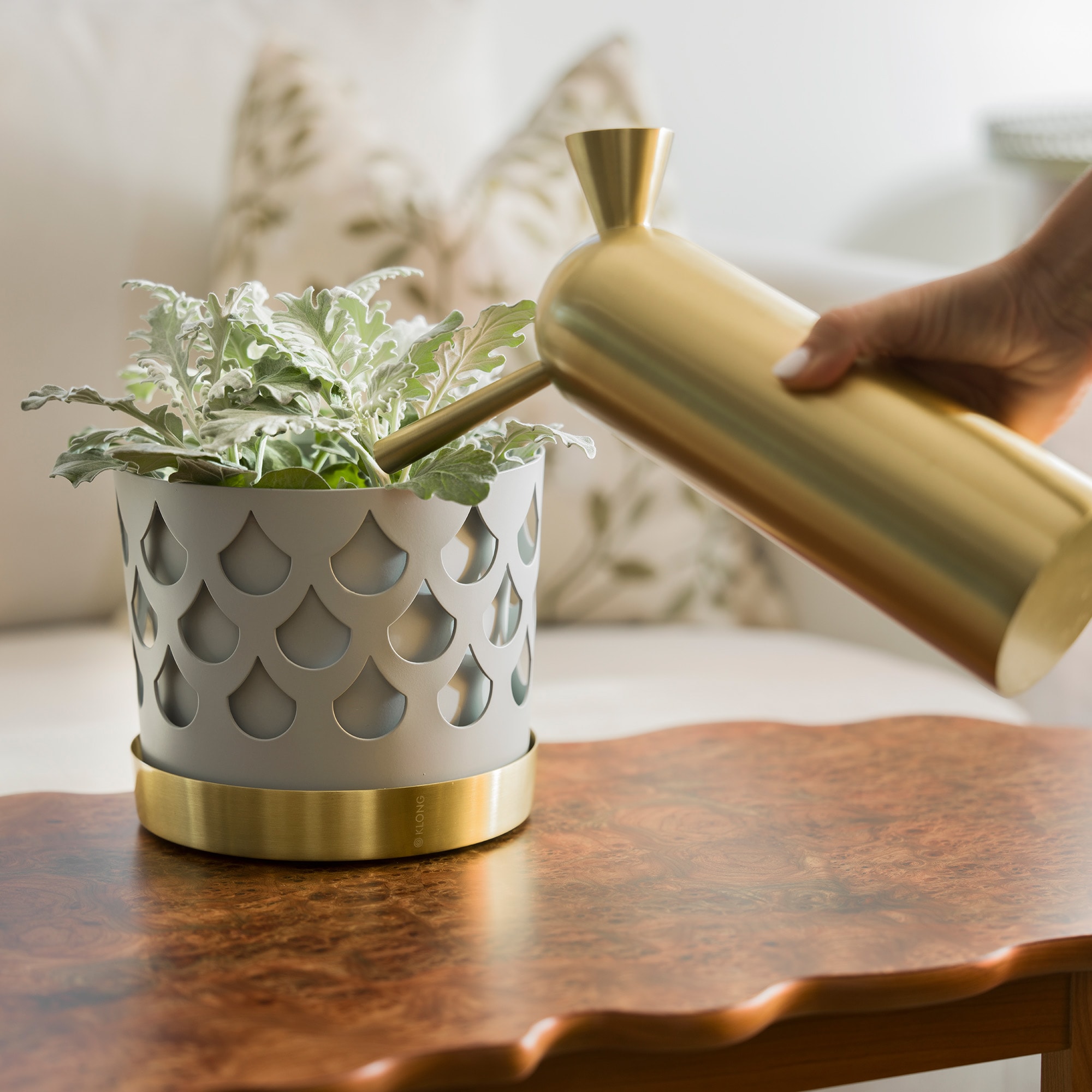 Svante Watering Can